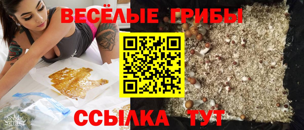 Галлюциногенные грибы Magic Shrooms  Вход с VPN  Семилуки 